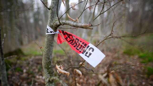 Nach Baumunglück: Ermittler suchen nach Ursache