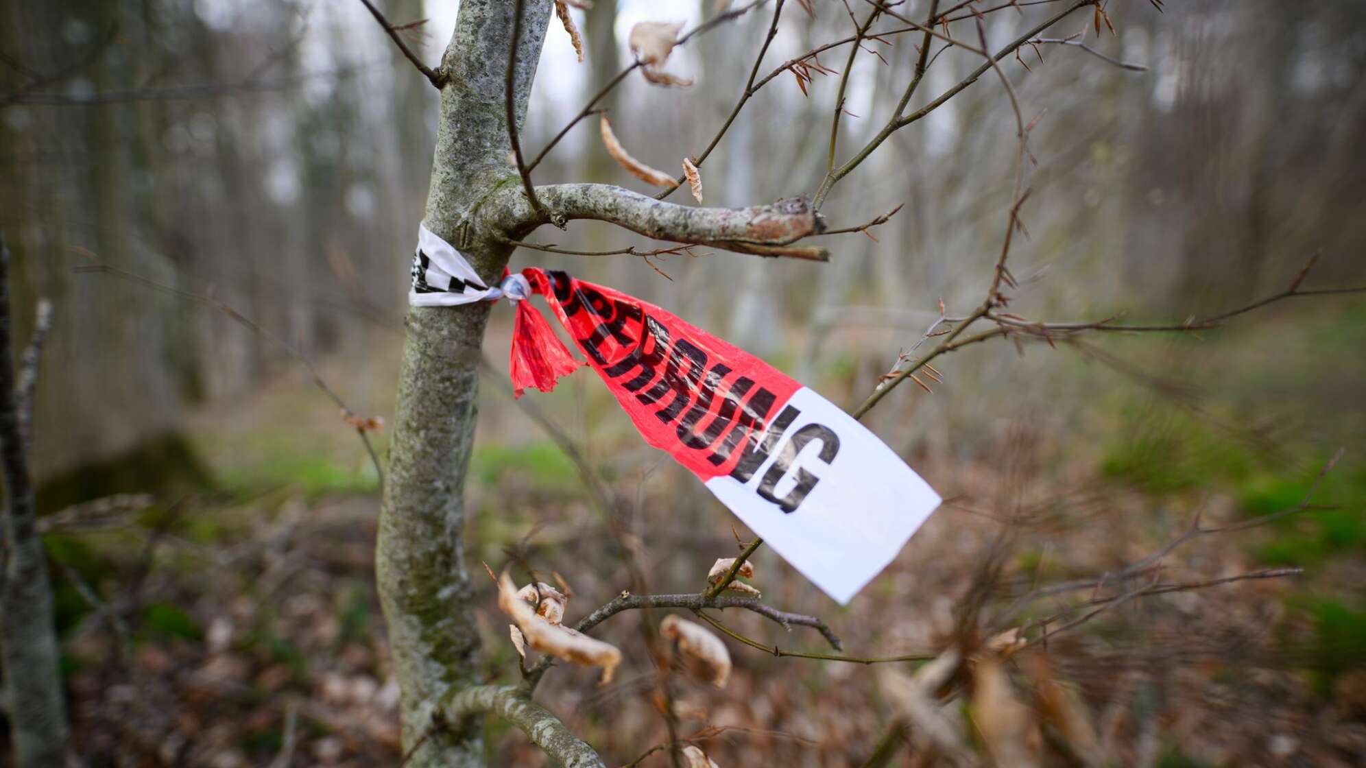 Baum umgestürzt - Drei Tote bei Flensburg