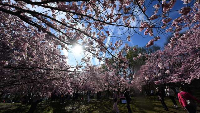 Frühling in Sichtweite: Viel Sonne und milde Temperaturen