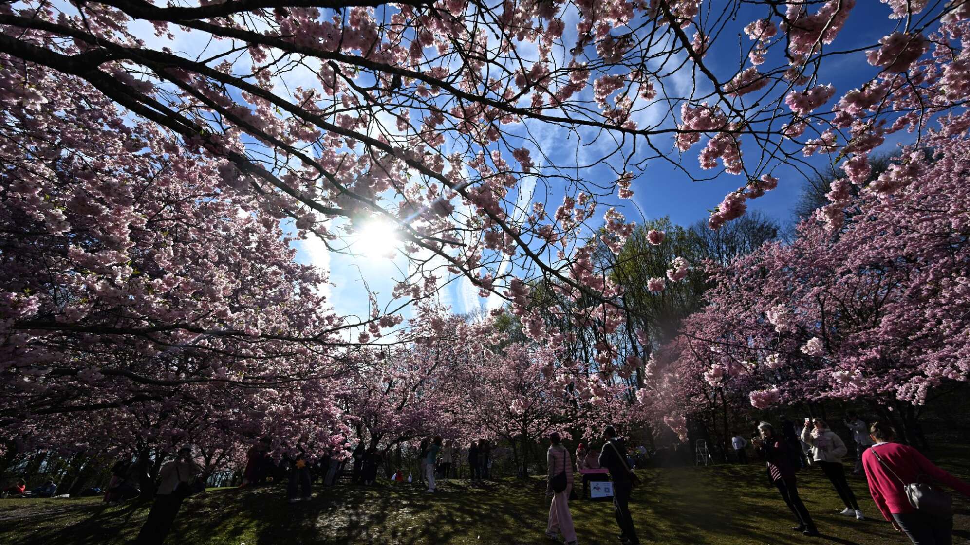 Ostern im Olympiapark