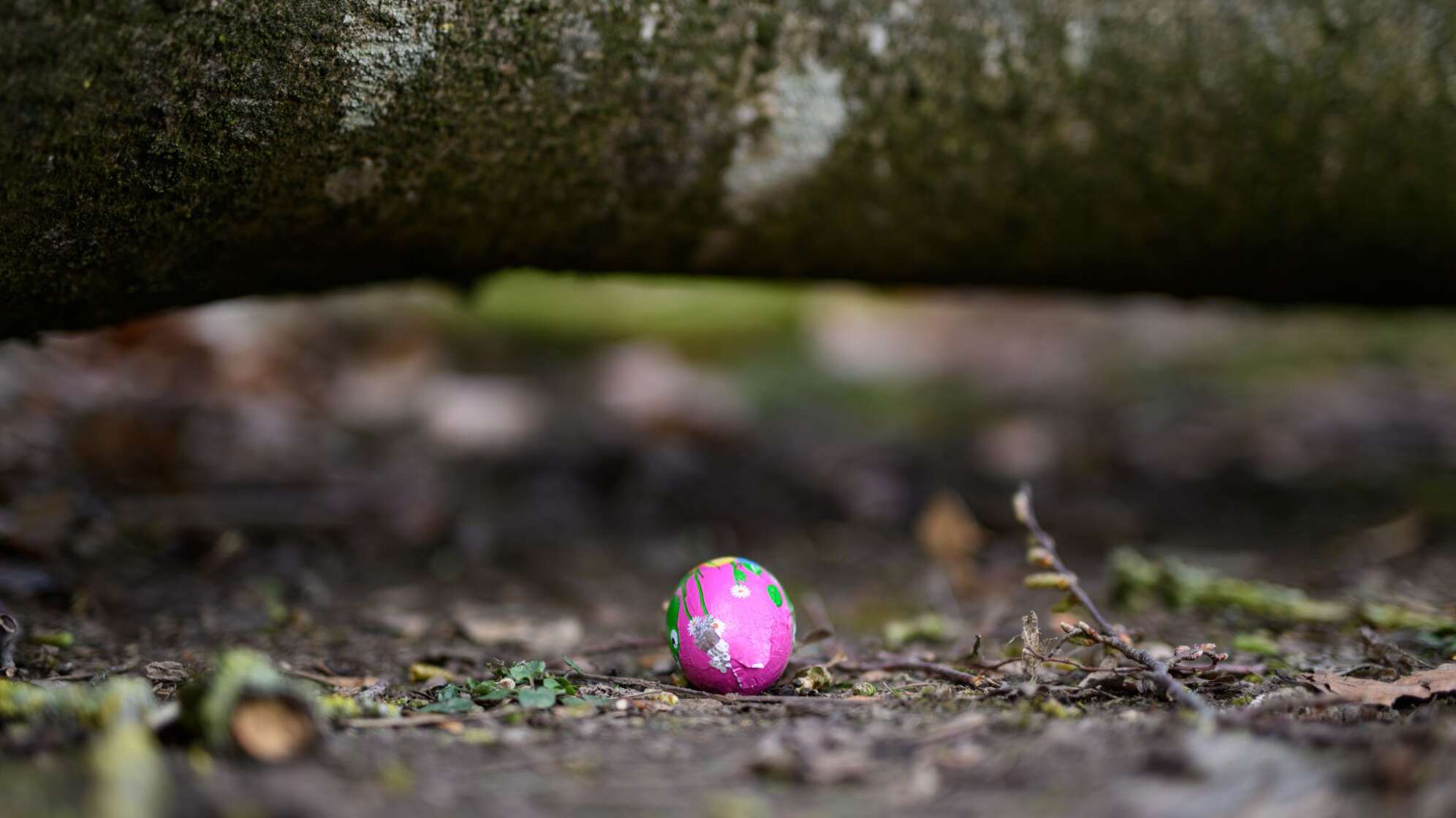 Baum umgestürzt - Drei Tote bei Flensburg