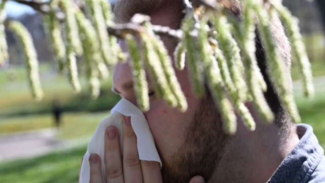 Pollen lassen Allergiker leiden: Wann ist ein Ende in Sicht?