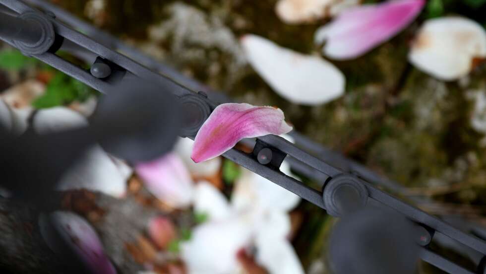 Aprilwetter in Bayern – Sonne, Regen und Gewitter im Wechsel