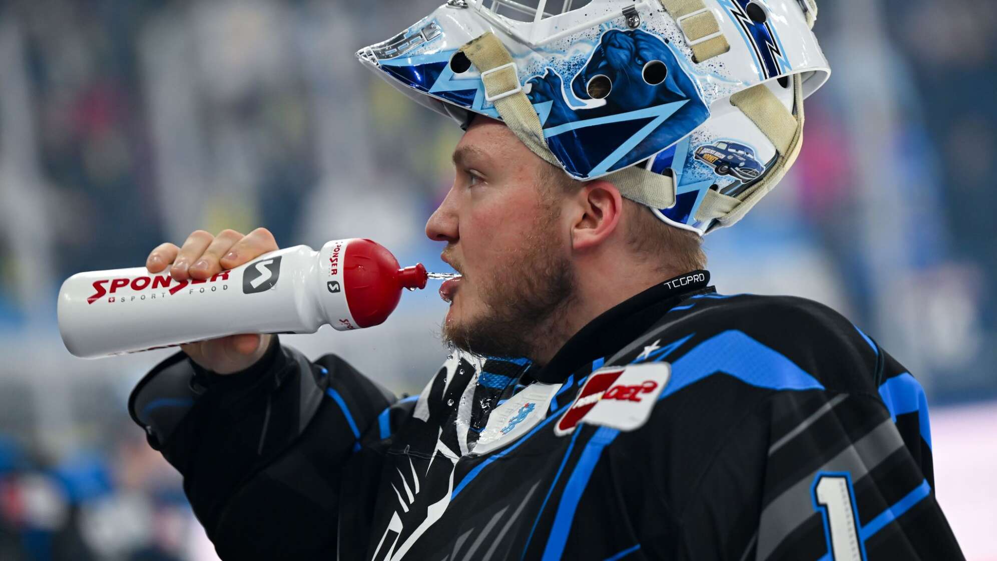 EHC Red Bull München - ERC Ingolstadt