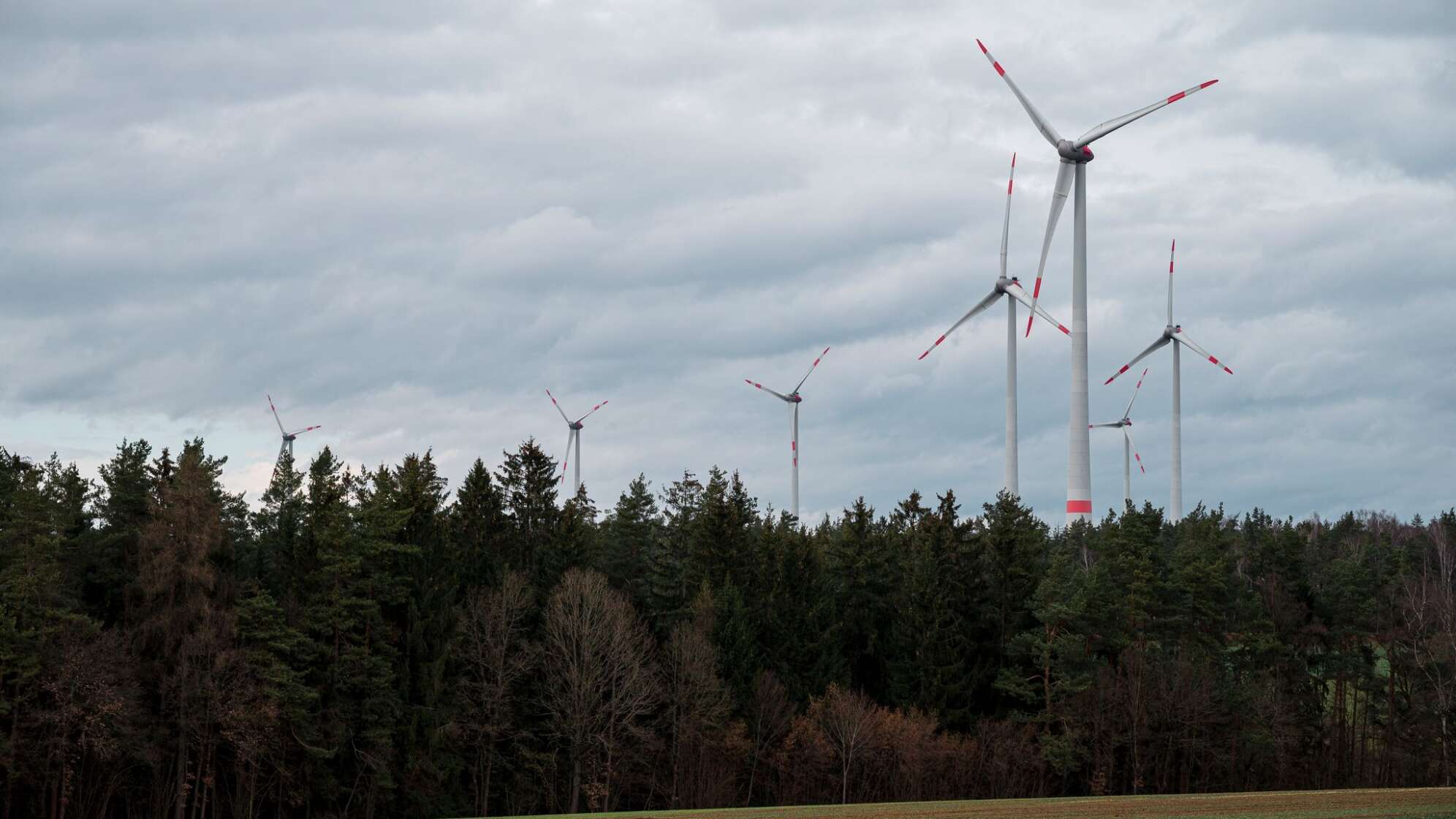 Windkraftanlagen in den Staatsforsten