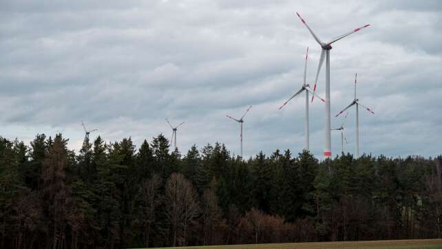 Neuer Chef für die Staatsforsten