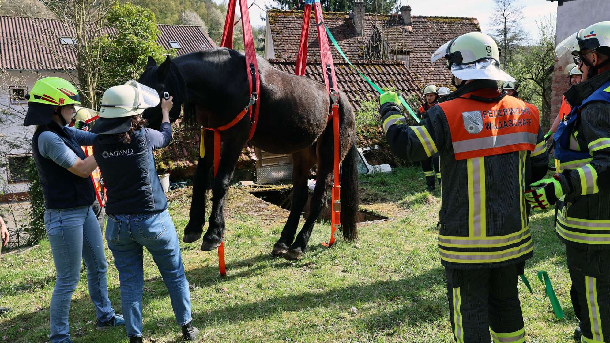 Pferd aus Grube gerettet