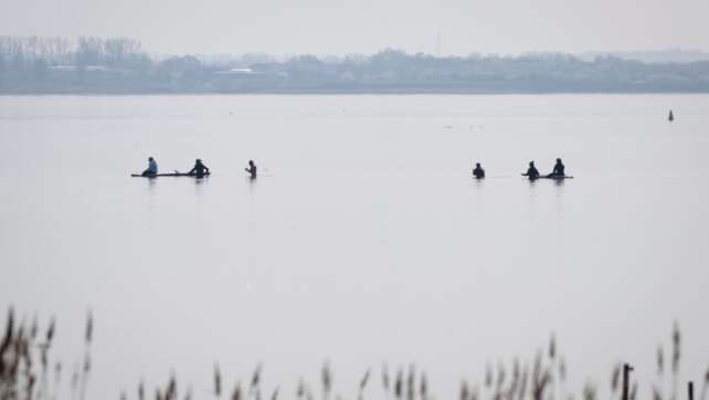 Rettungsaktion für den Buckelwal wird fortgesetzt