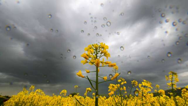 Wechselhaftes Wetter in Bayern erwartet: Gewitter und Regen