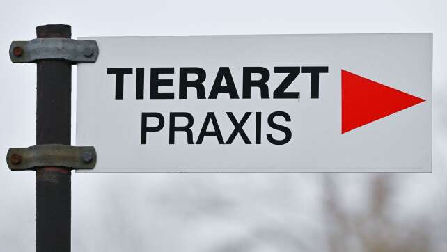 Höhere Tierarztkosten belasten Tierheime