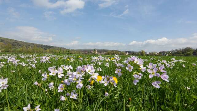 Tagsüber fast 20 Grad, nachts Minusgrade