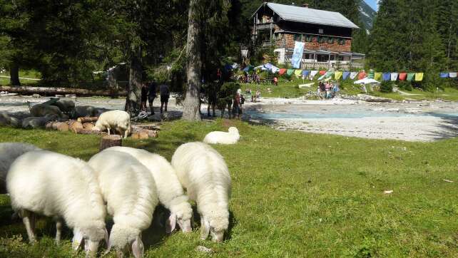 Bergführer nach Tod einer Kundin verurteilt