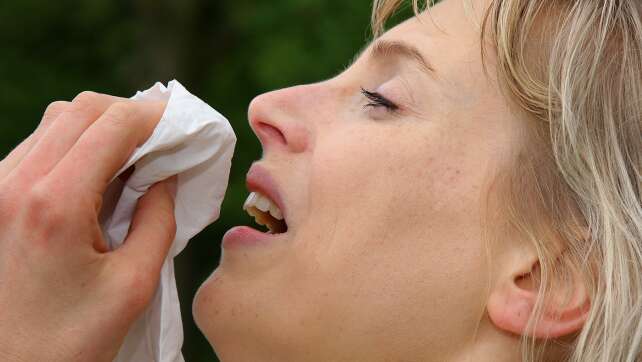Heuschnupfen im Herbst: Diese Pollen fliegen weiter