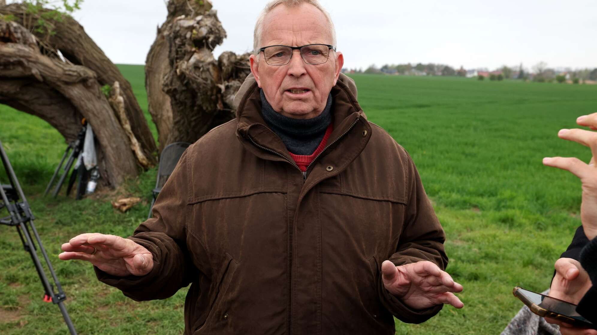 Rettungsaktion für den Buckelwal