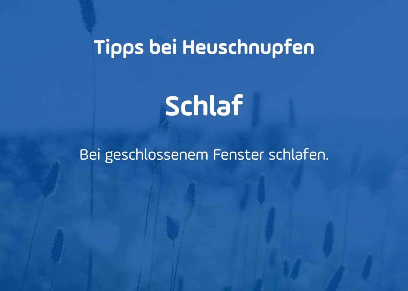 Tipps gegen Pollenallergie