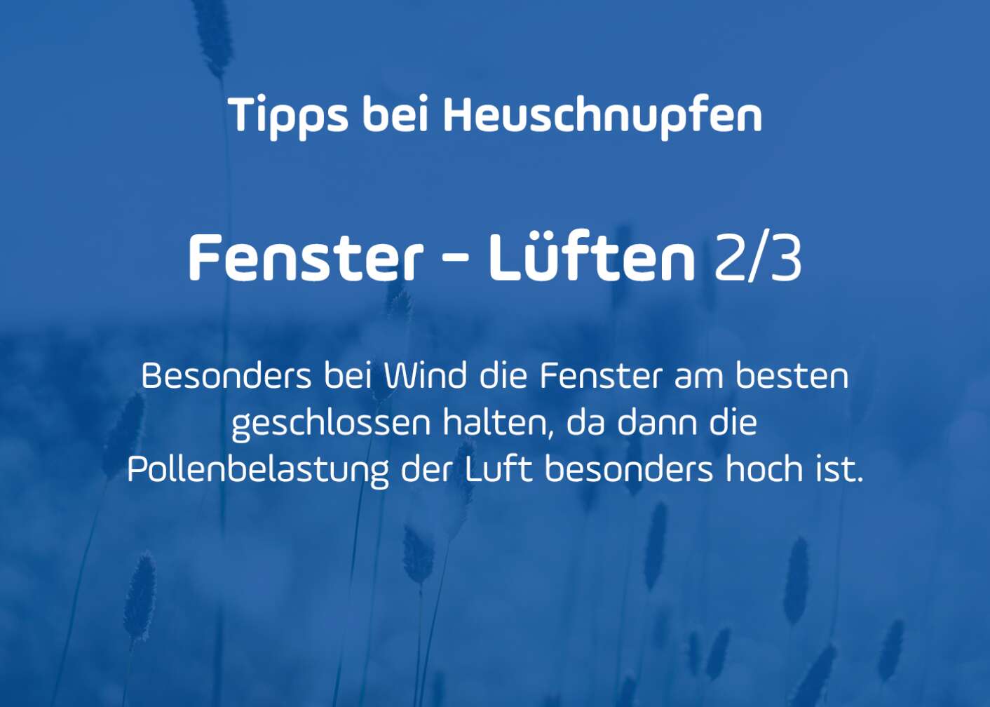 Tipps gegen Pollenallergie