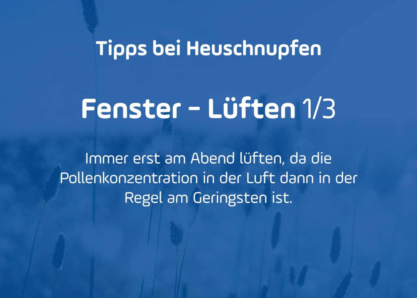 Tipps gegen Pollenallergie