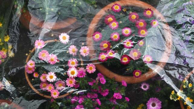 Bis zu 21 Grad am Tag - nachts Bodenfrost möglich