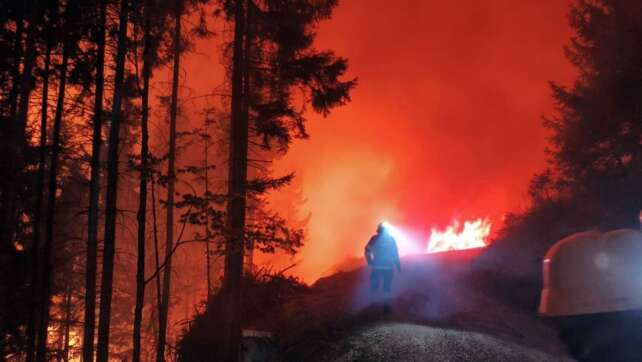 Waldbrand in Österreich - 110 Hektar stehen in Flammen