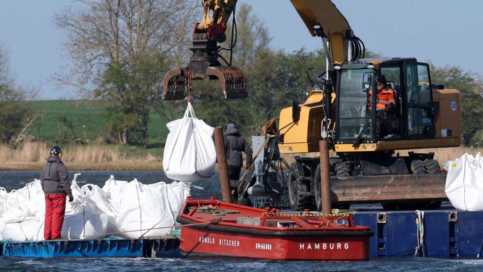 Vorbereitungen für Wal-Bergungsversuch laufen