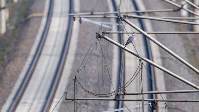 Defekte Oberleitung am Ulmer Hauptbahnhof - ICE umgeleitet