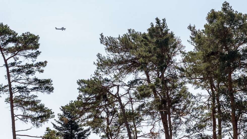 Waldbrandgefahr in Bayern: Regierung ordnet Luftbeobachtung an – wichtige Verhaltensregeln für Waldbesucher