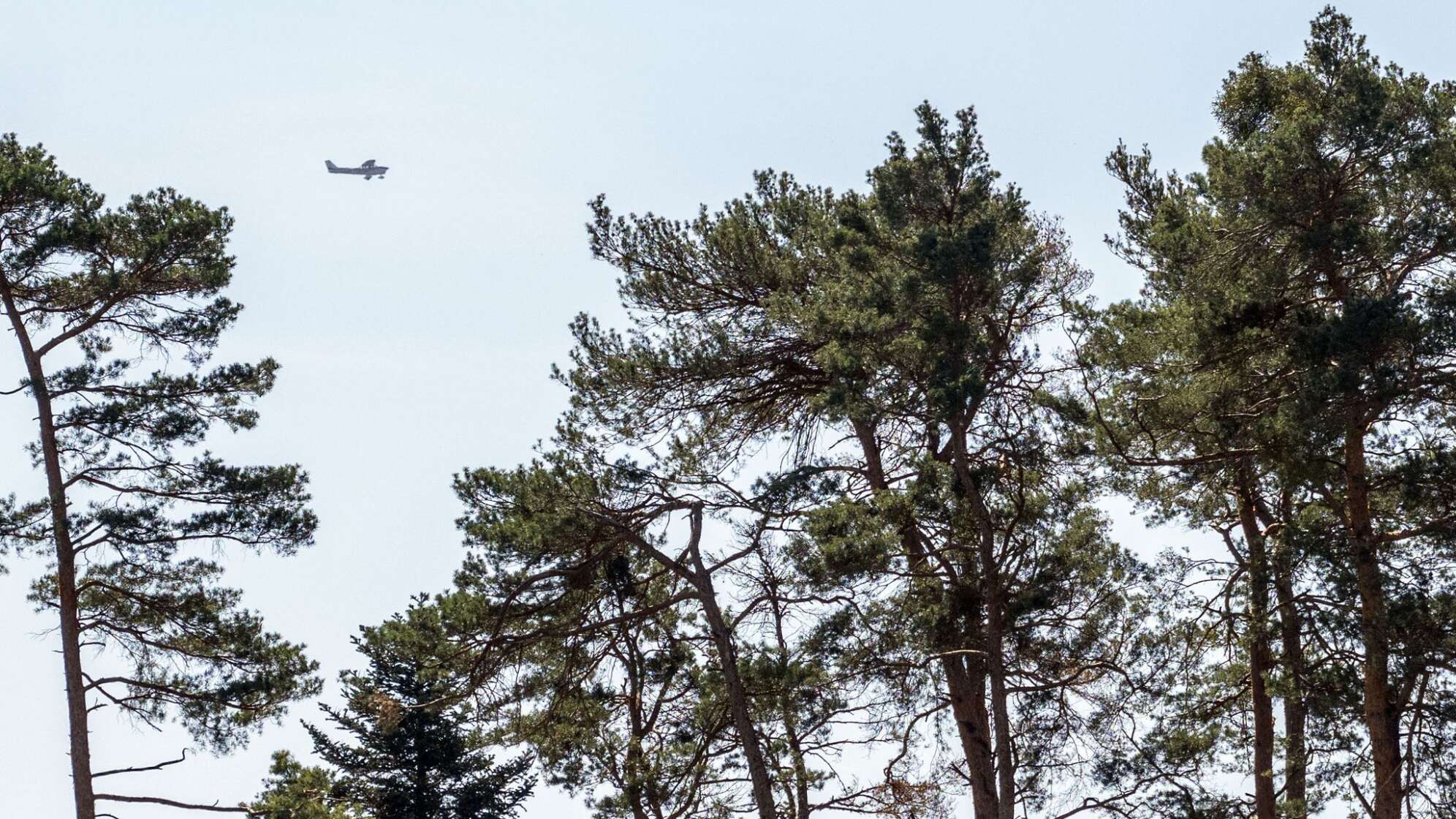 Luftbeobachter trainieren Waldbrandfrüherkennung