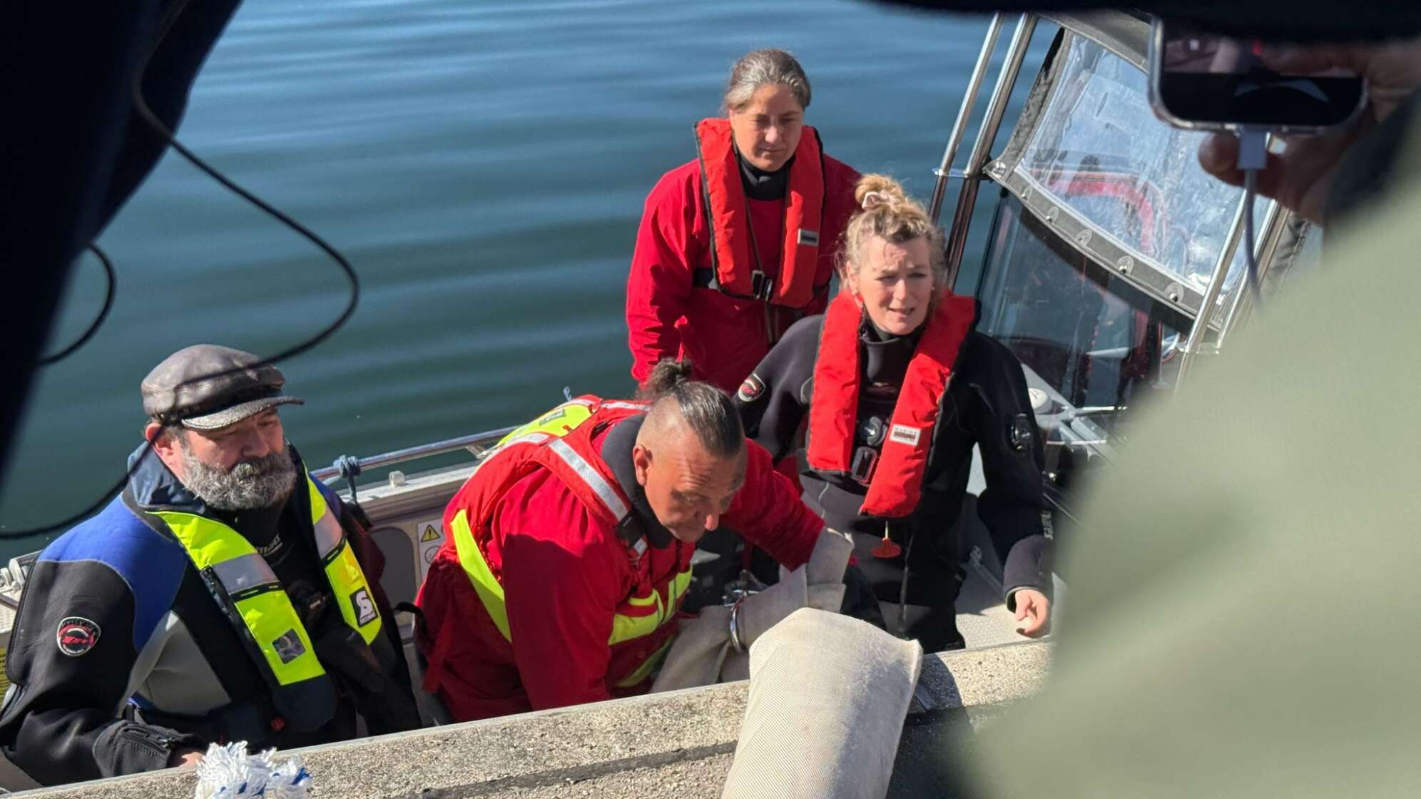 Weitere Entwicklung zum Buckelwal in der Ostsee