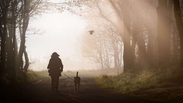 EU-Parlament: Hunde und Katzen in EU müssen gechippt werden