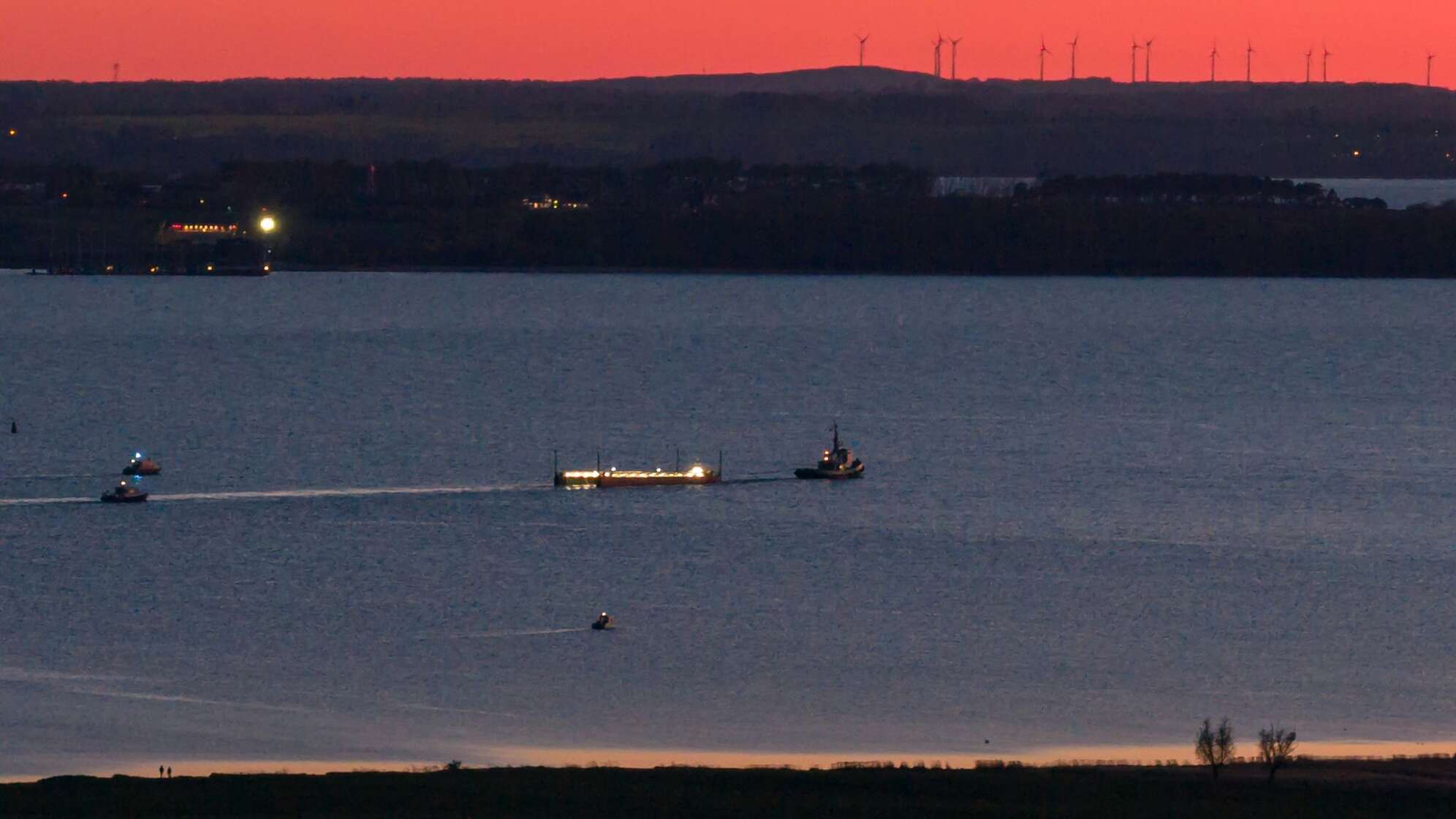 Weitere Entwicklung zum Buckelwal in der Ostsee