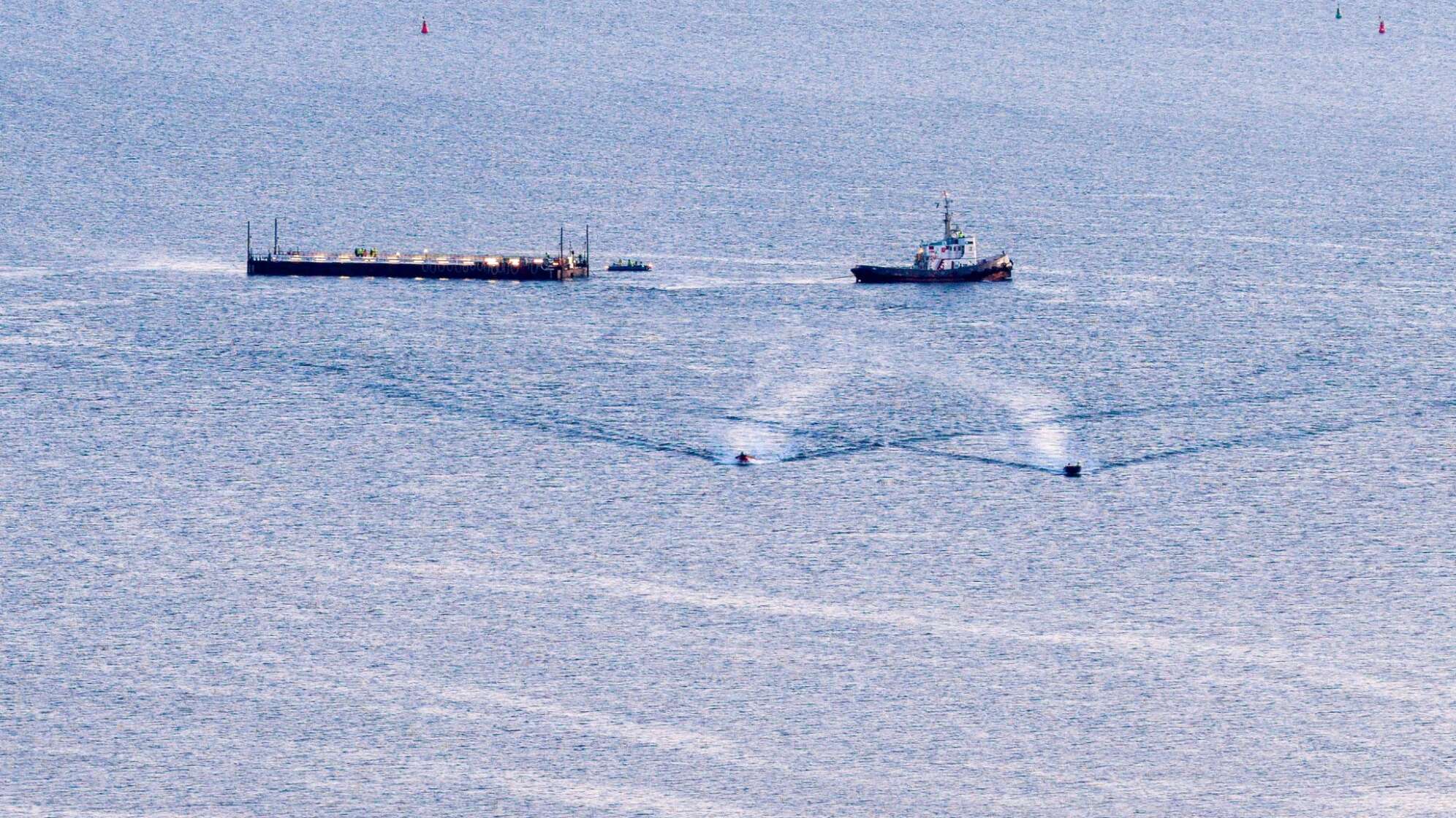 Weitere Entwicklung zum Buckelwal in der Ostsee