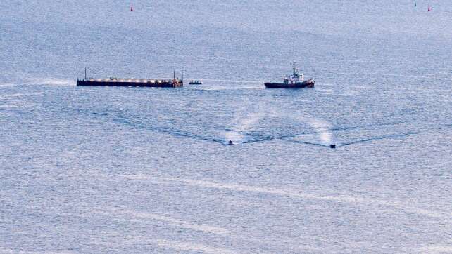 Initiative: Wal soll in Nordsee freigelassen werden