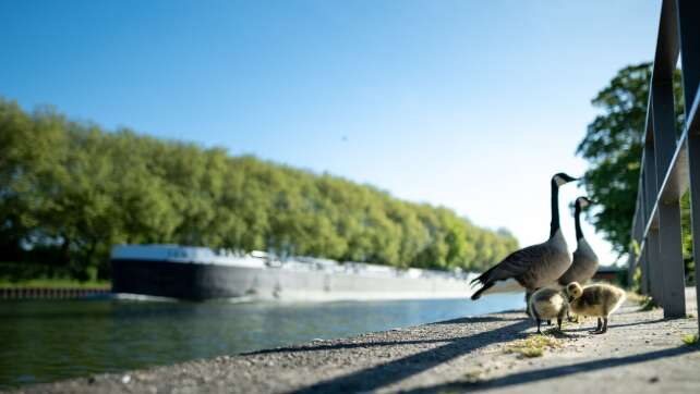 Sommertage in Sicht - 25-Grad-Marke wird geknackt