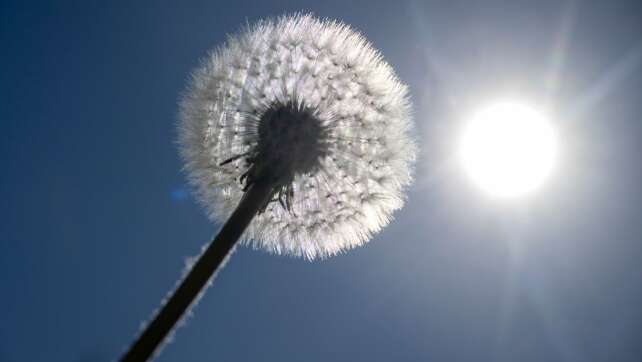 Bis zu 25 Grad am Maifeiertag – Sonne pur im Freistaat