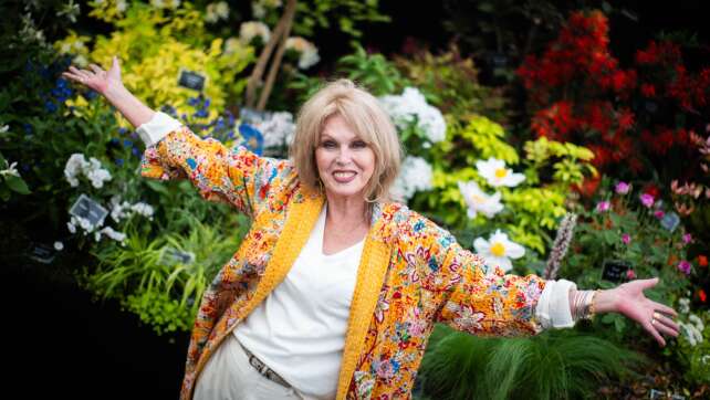 Nationalschatz und Comedy-Ikone: Joanna Lumley wird 80