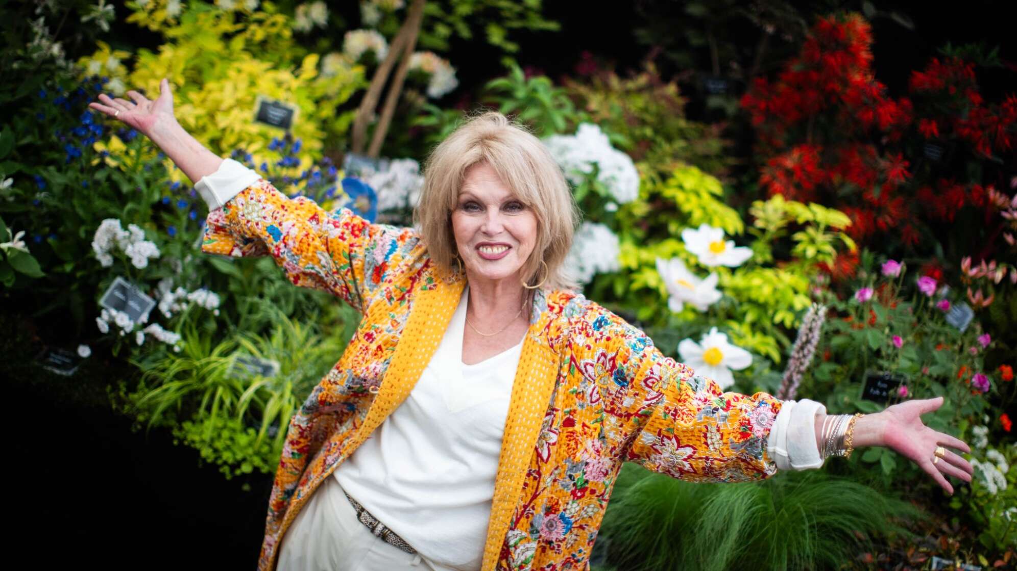 Nationalschatz und Comedy-Ikone: Joanna Lumley wird 80