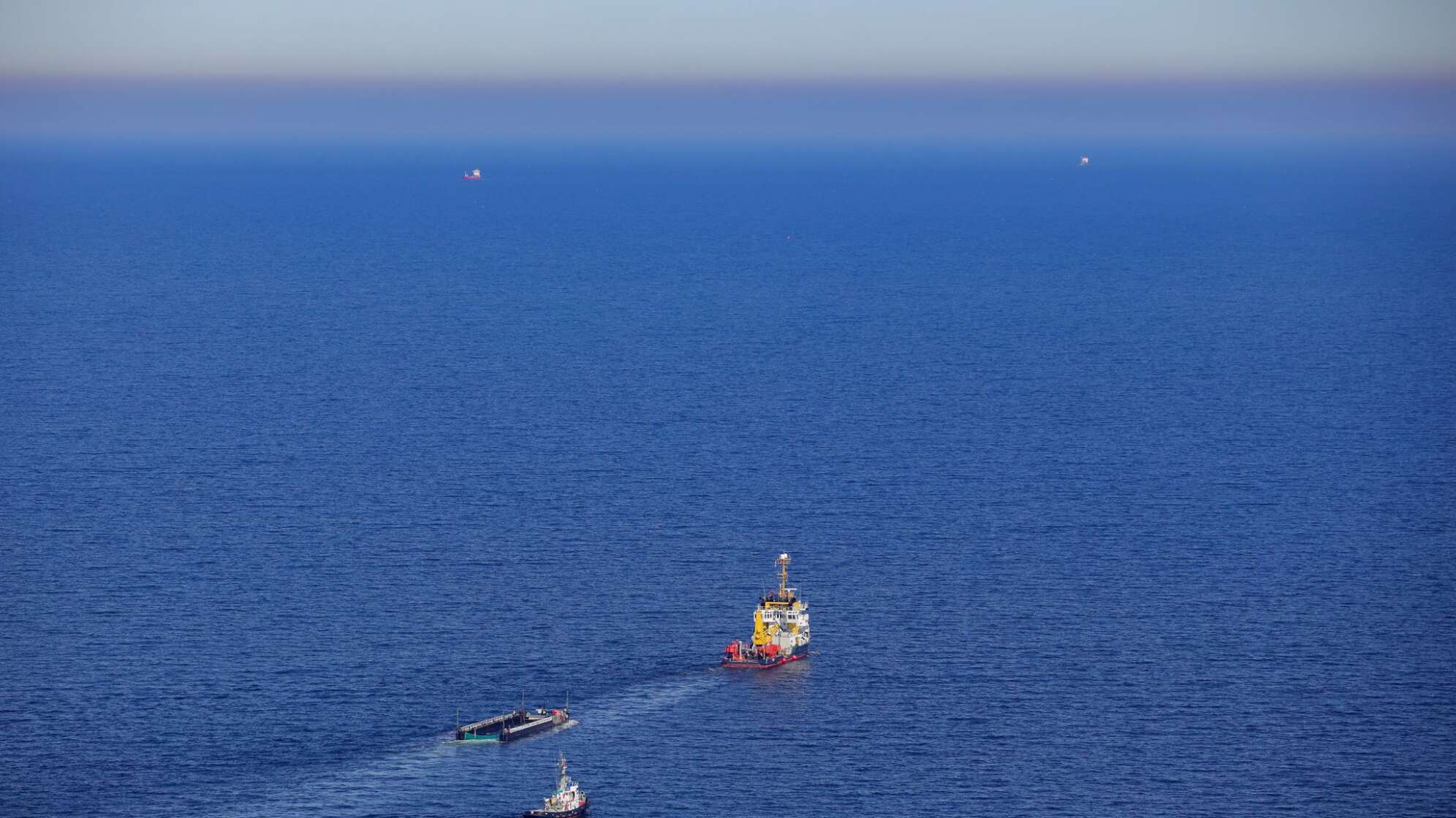 Weitere Entwicklung zum Buckelwal in der Ostsee