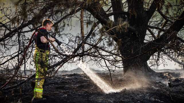 Brände in den Niederlanden - deutsche Feuerwehr hilft