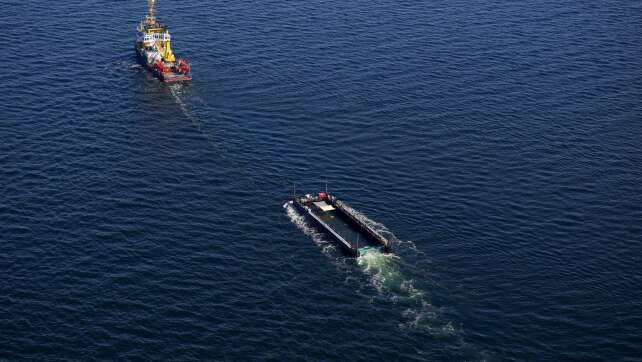Netz von Barge mit Buckelwal in Ostsee entfernt