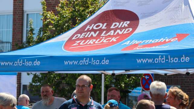 Vorsprung im Straßenwahlkampf - wie die AfD mobilisiert
