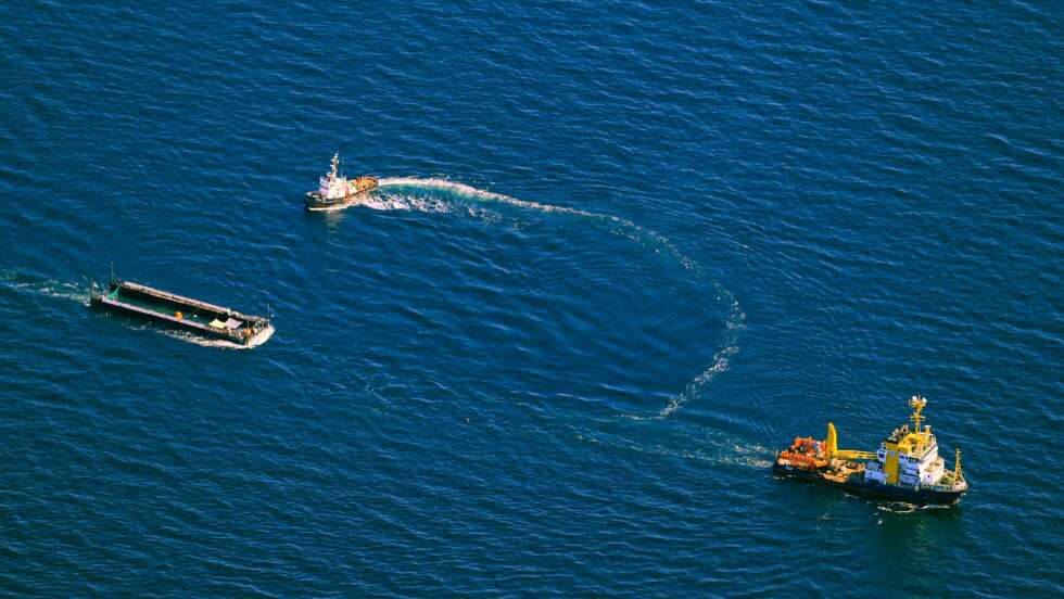 Buckelwal nach tagelanger Rettungsaktion in der Nordsee freigelassen – Experten bezweifeln langfristige Überlebenschancen des Tieres