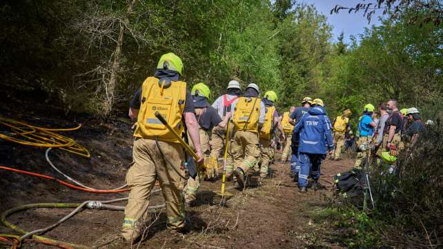 Mehrere Wald- und Vegetationsbrände fordern Einsatzkräfte
