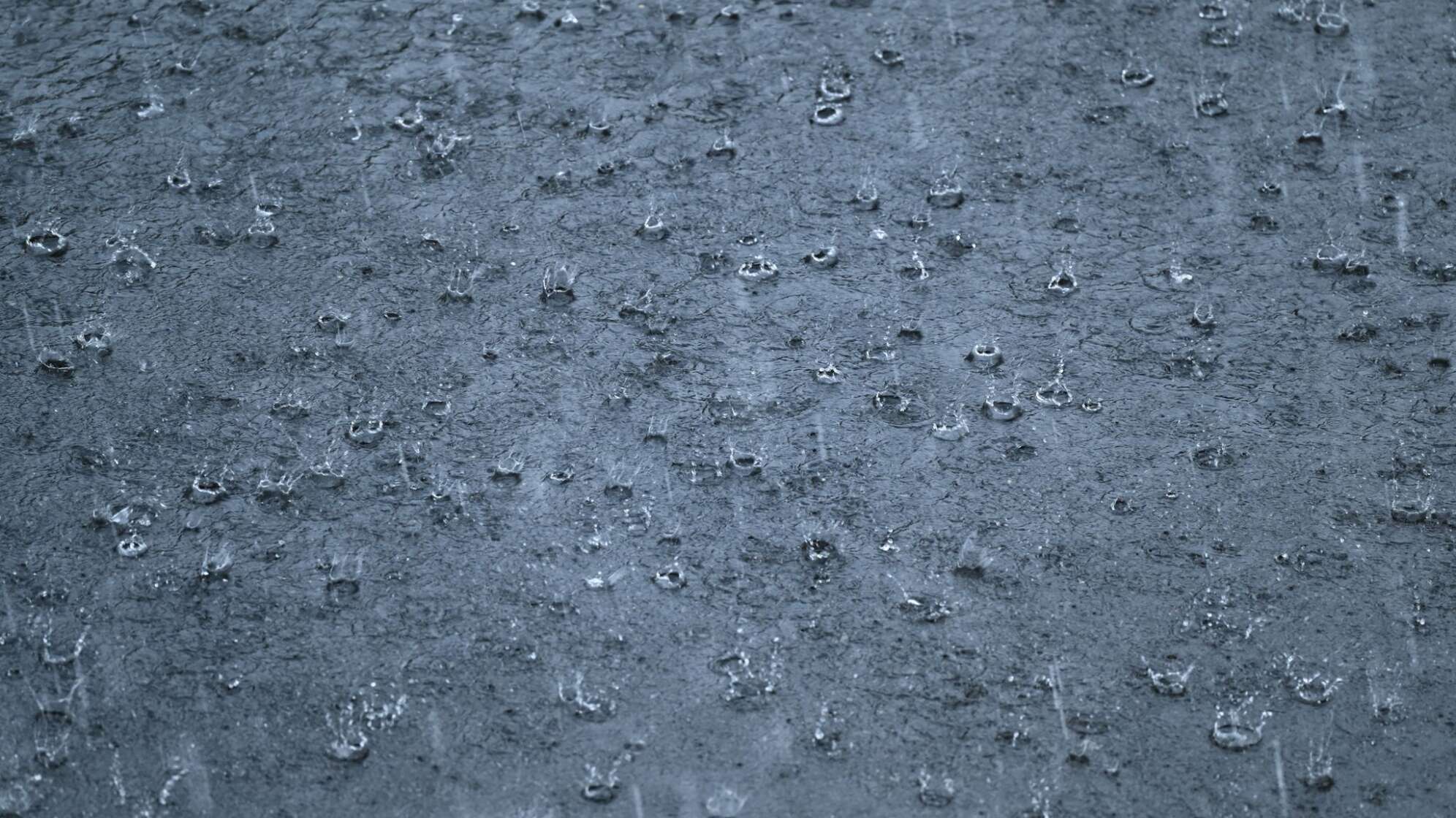 Regen