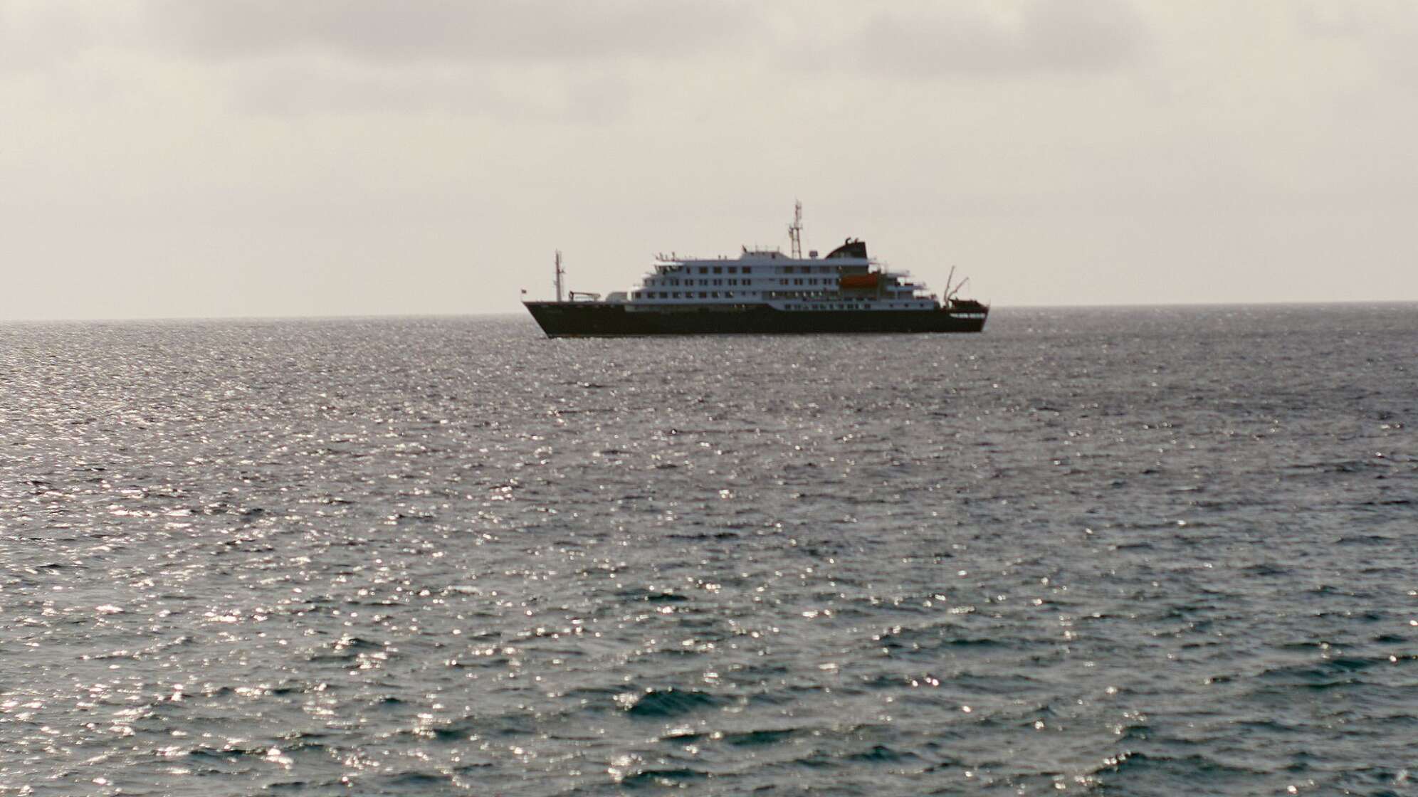 Drei Tote nach Hantavirus-Ausbruch auf Kreuzfahrtschiff