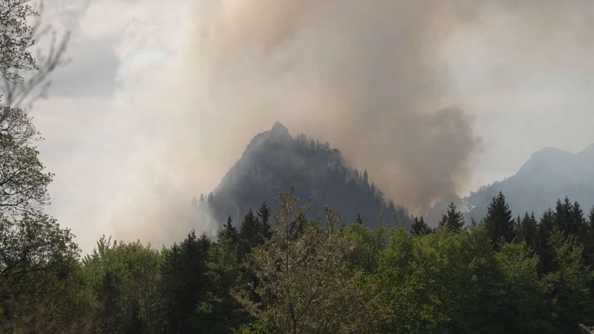 Waldbrand am Saurüsselkopf
