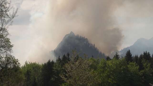 Waldbrand am Berg - 50 Hektar in Flammen