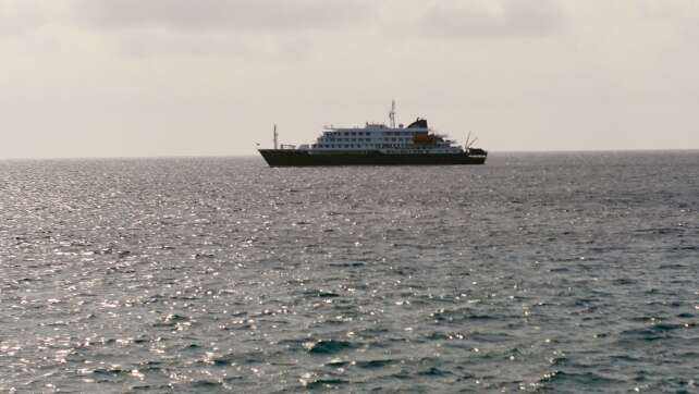 Hantavirus-Ausbruch auf Schiff: Was wir wissen und was nicht