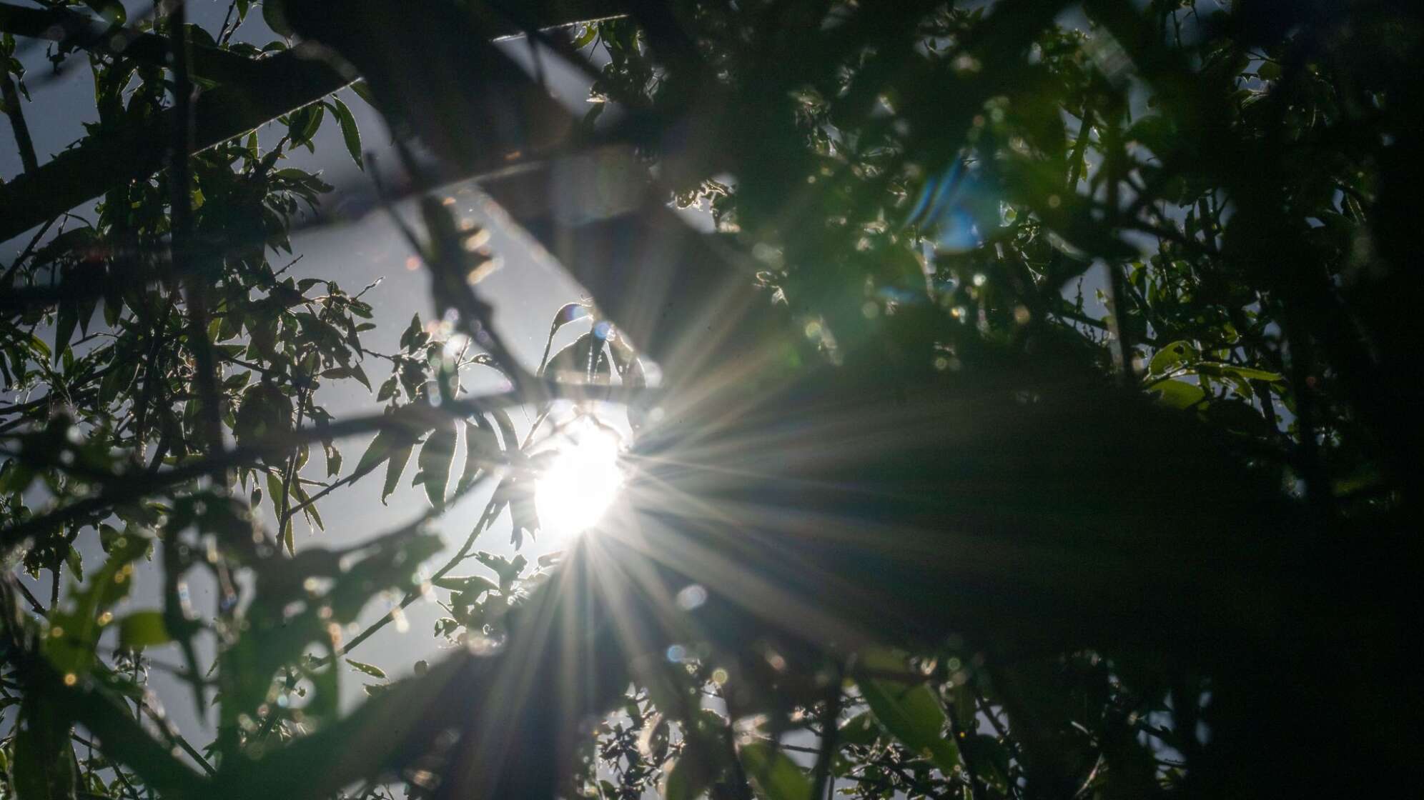 Wetter in Bayern
