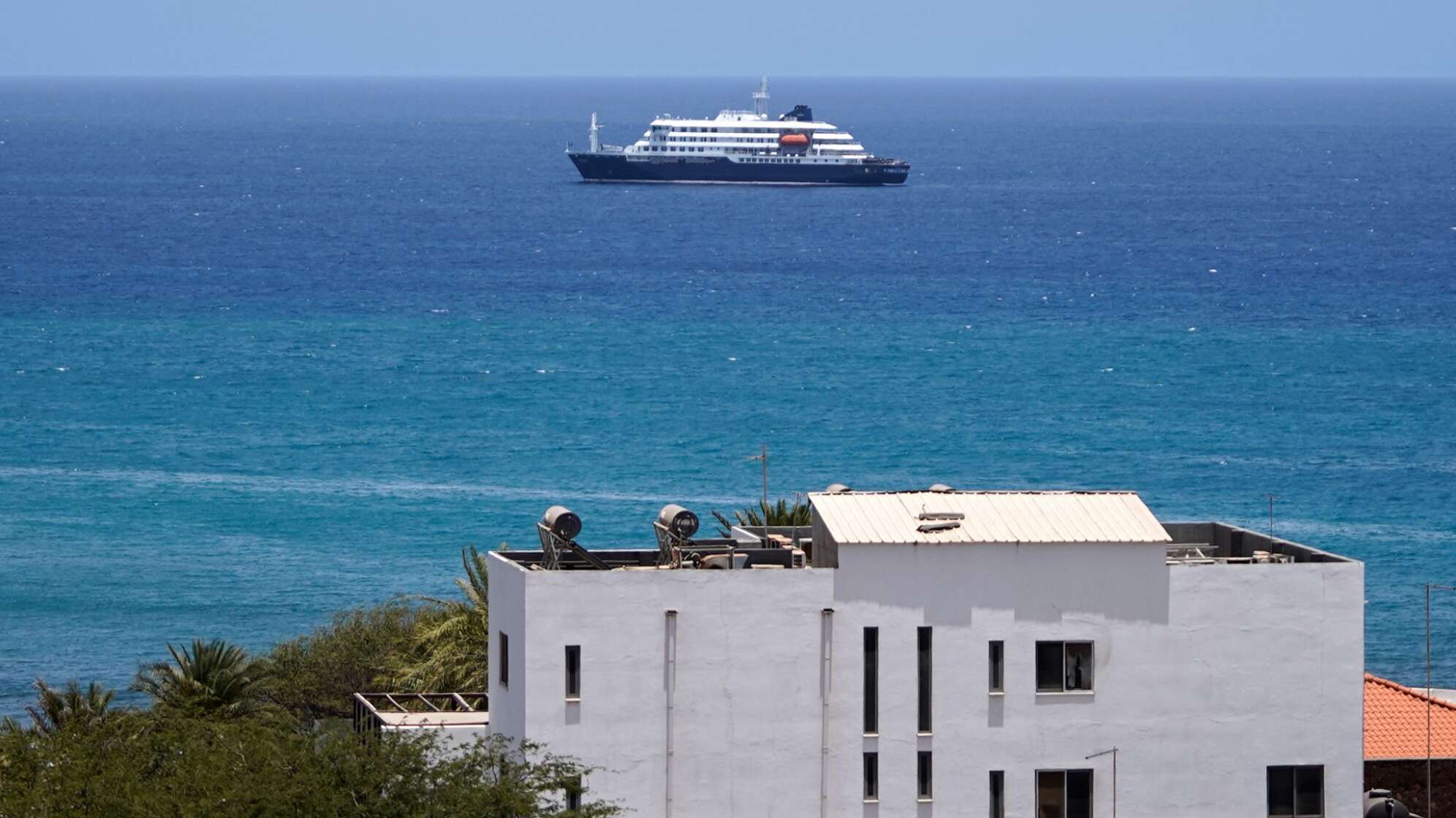Drei Tote nach Hantavirus-Ausbruch auf Kreuzfahrtschiff