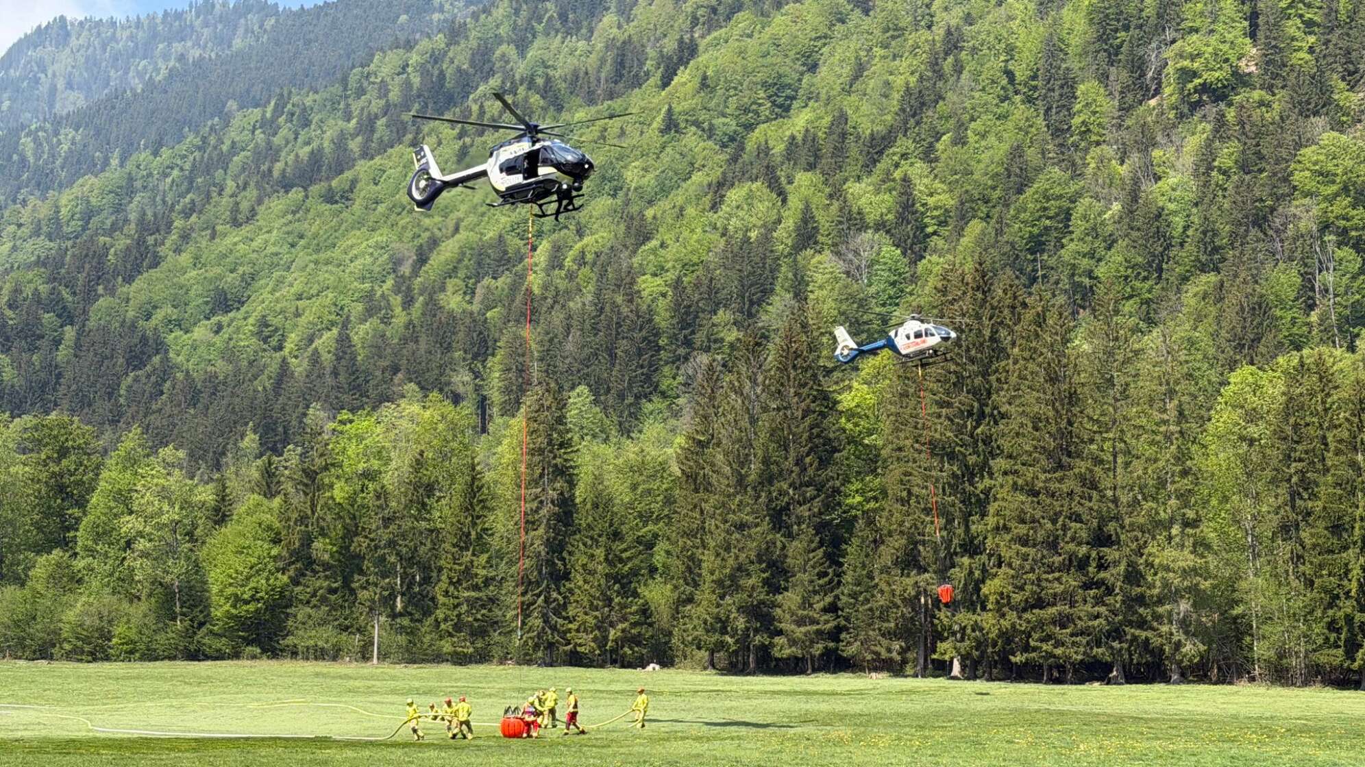 Waldbrand am Saurüsselkopf